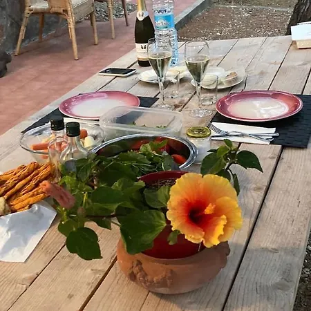 La Casa In Pineta