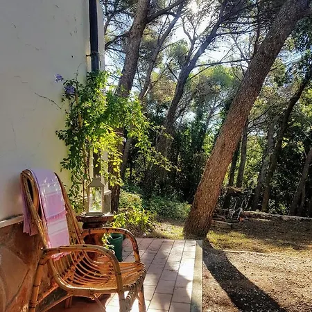 La Casa In Pineta Holiday home *